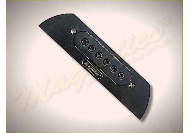 Magnetics™ SRS01 N