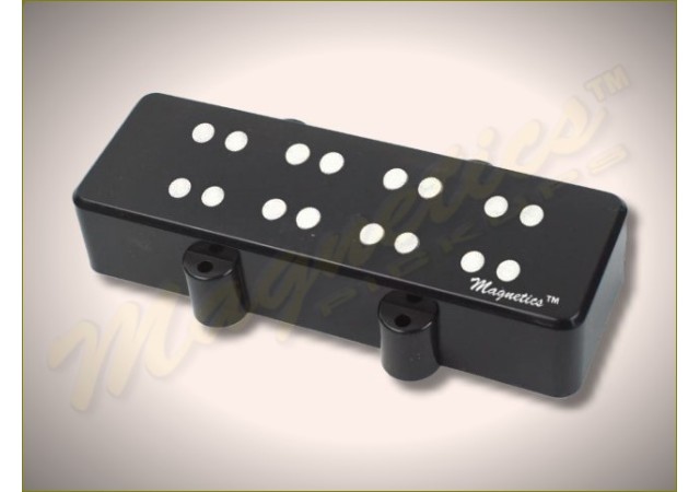 Magnetics™ 2J4BPV