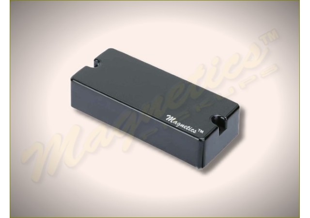 Magnetics™ H4N