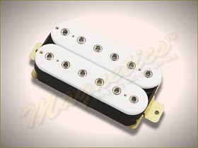 Magnetics™ H6 Spc5 C P N