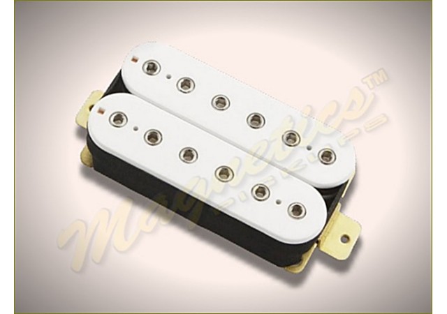 Magnetics™ H6 Spc5 C P N